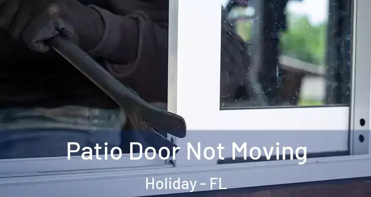 Patio Door Not Moving Holiday - FL