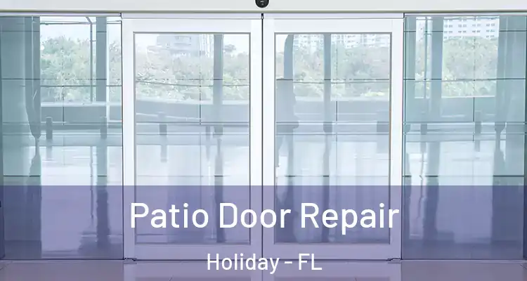 Patio Door Repair Holiday - FL