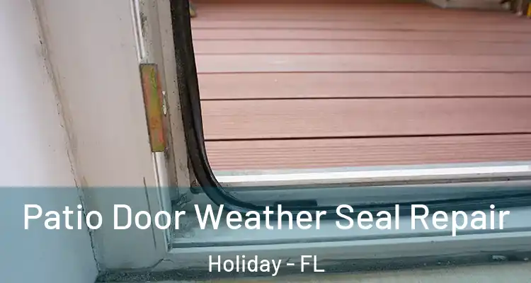 Patio Door Weather Seal Repair Holiday - FL