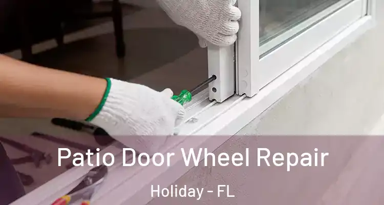 Patio Door Wheel Repair Holiday - FL