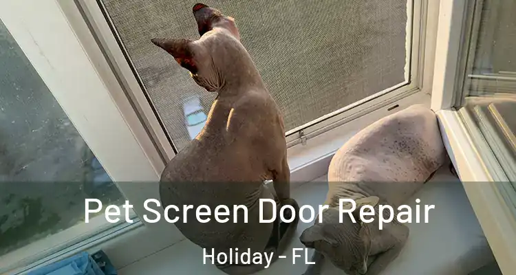 Pet Screen Door Repair Holiday - FL
