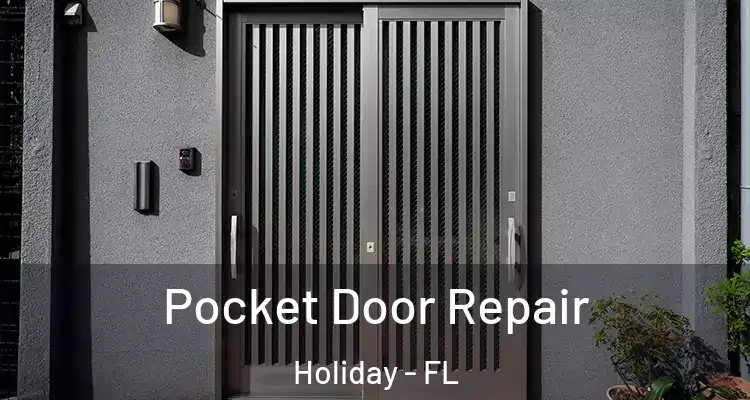 Pocket Door Repair Holiday - FL