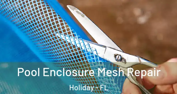 Pool Enclosure Mesh Repair Holiday - FL