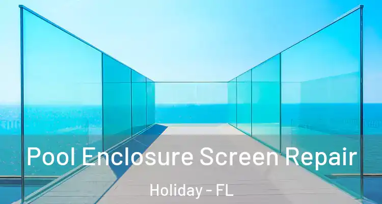 Pool Enclosure Screen Repair Holiday - FL