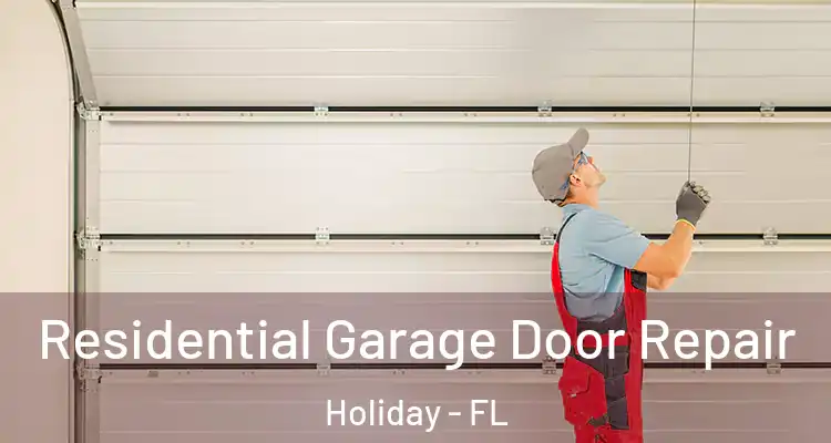Residential Garage Door Repair Holiday - FL