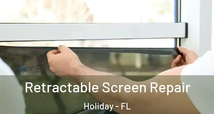 Retractable Screen Repair Holiday - FL
