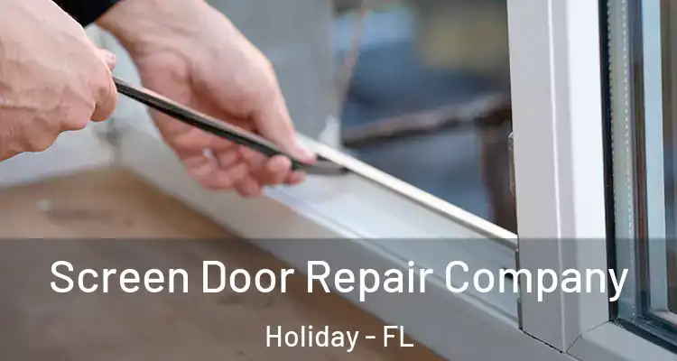 Screen Door Repair Company Holiday - FL