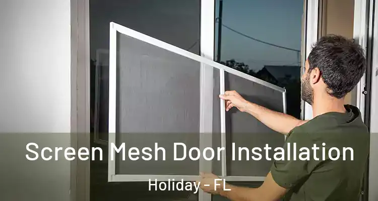 Screen Mesh Door Installation Holiday - FL