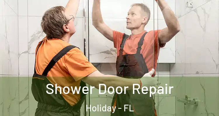 Shower Door Repair Holiday - FL