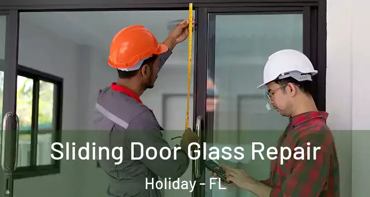 Sliding Door Glass Repair Holiday - FL