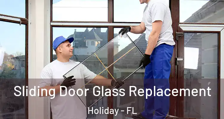 Sliding Door Glass Replacement Holiday - FL