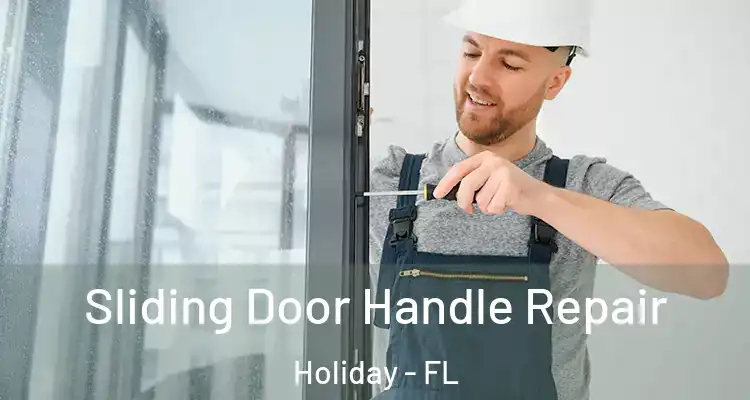 Sliding Door Handle Repair Holiday - FL
