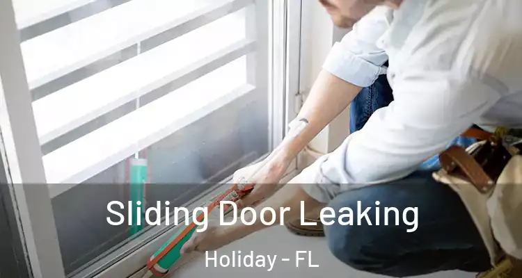 Sliding Door Leaking Holiday - FL