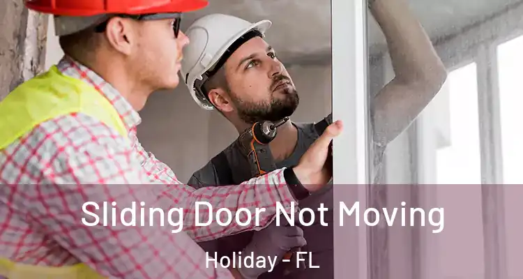 Sliding Door Not Moving Holiday - FL