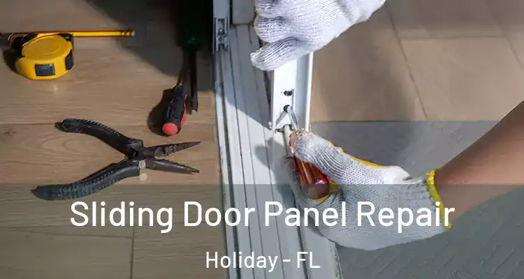 Sliding Door Panel Repair Holiday - FL