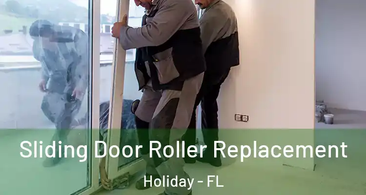 Sliding Door Roller Replacement Holiday - FL