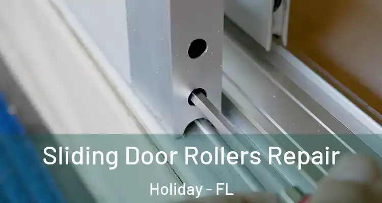 Sliding Door Rollers Repair Holiday - FL
