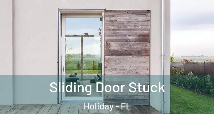 Sliding Door Stuck Holiday - FL