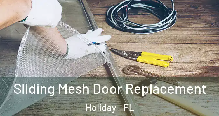 Sliding Mesh Door Replacement Holiday - FL