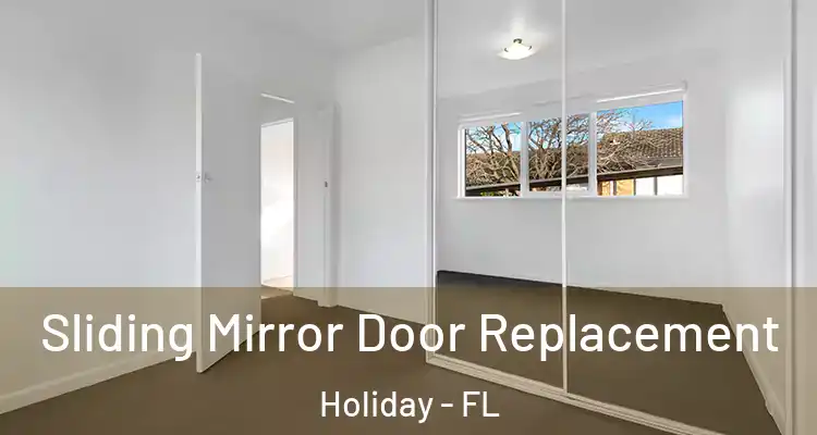 Sliding Mirror Door Replacement Holiday - FL