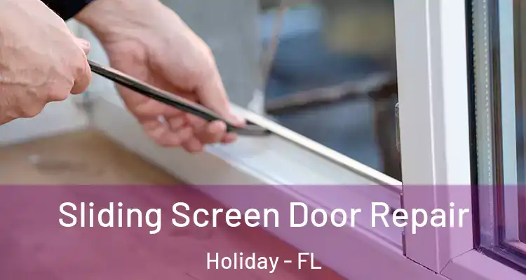 Sliding Screen Door Repair Holiday - FL