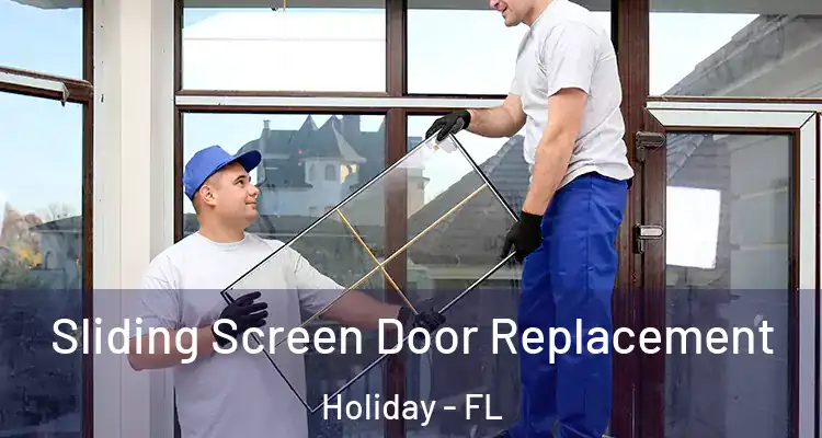 Sliding Screen Door Replacement Holiday - FL
