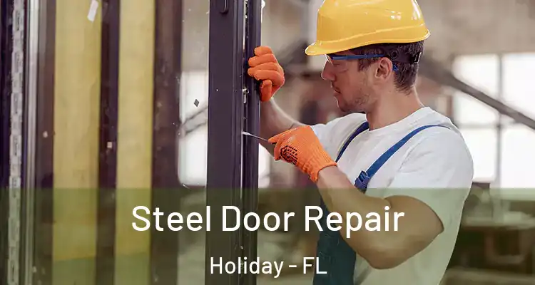 Steel Door Repair Holiday - FL