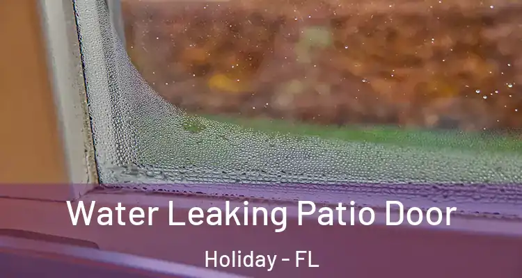 Water Leaking Patio Door Holiday - FL