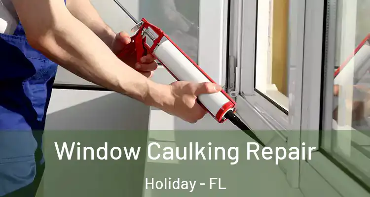 Window Caulking Repair Holiday - FL