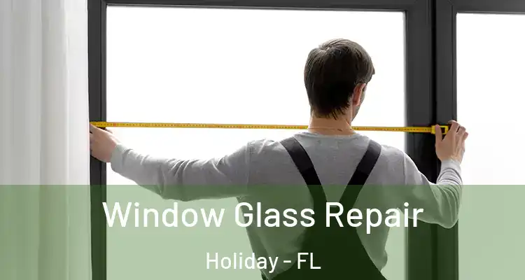 Window Glass Repair Holiday - FL