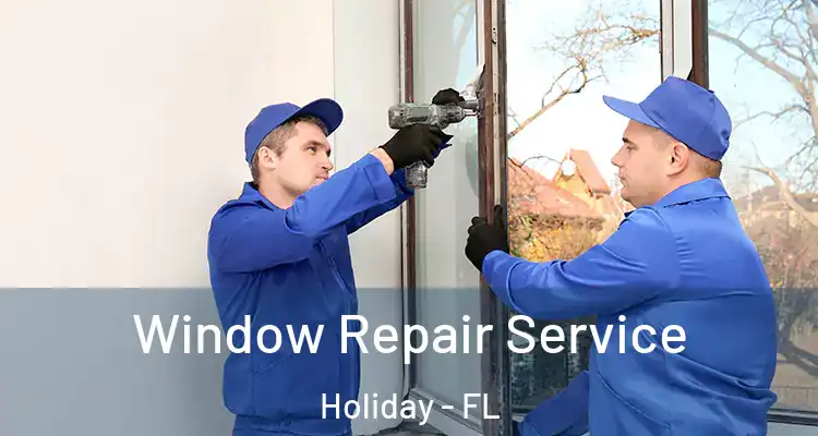 Window Repair Service Holiday - FL