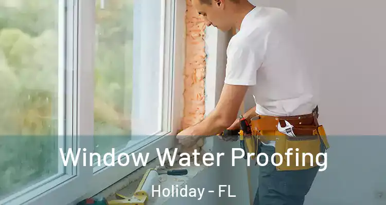 Window Water Proofing Holiday - FL