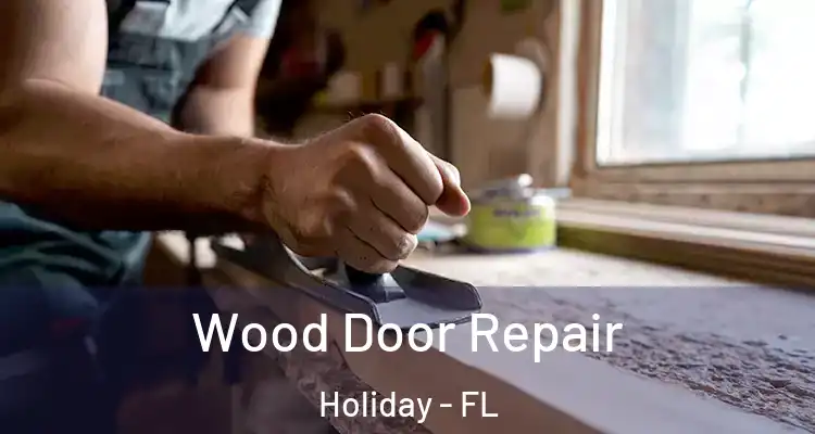 Wood Door Repair Holiday - FL